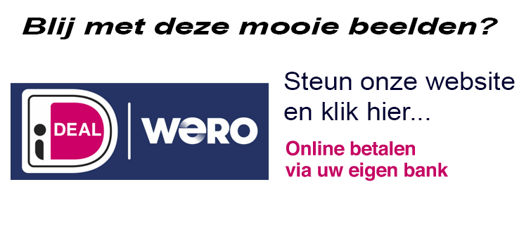 Steun